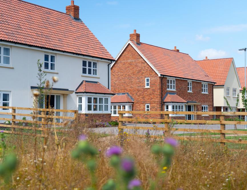 Chesterford Meadows